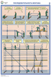 ПС26 Строительные леса (конструкции, монтаж, проверка на безопасность) (ламинированная бумага, А2, 3 листа) - Плакаты - Строительство - ohrana.inoy.org
